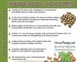 Hemp Therapy Hemp Seed Necessary For Human Life Hemp Seed Benefits Hemp Seed Oil Benefits Hemp Seeds