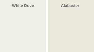 The best white paint color. Benjamin Moore White Dove Oc 17 West Magnolia Charm