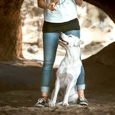 Mitten im wald legte das tier in der nähe der olympiastraße eine phosphorbombe aus dem zweiten weltkrieg frei, wie die planegger polizeiinspektion mitteilt. Intelligenzspielzeug Gehirnjogging Fur Hunde