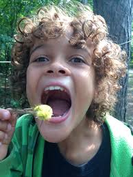 Fundraiser by Reginald Johnson : A Second Chance for Jacy: Help Him Smile  Again