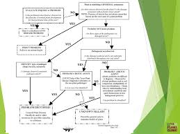 Plant Diagnostics Knowing What You Are Seeing Ppt Download