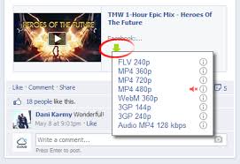 I am the founder o. How To Download Videos From Facebook For Free Nettpreneur