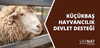 Devlet Destekli Kucukbas Hayvancilik Vaynat Com