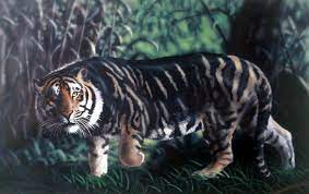 Are Black Tigers Real The Black Tiger A Veritable Bete Noire Of Mystery Cats Melanistic Melanistic Animals Melanism