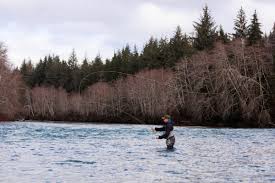 In Pacific Northwest, steelhead risk extinction nearly everywhere