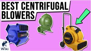 Copyright © 2021 terrariawiki.org and terrariawiki.org. Top 10 Centrifugal Blowers Of 2021 Video Review