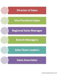 Sales Management Hierarchy Management Skills Business Sales And Marketing Sales Manager