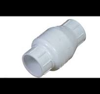 2" PVC Swing Check Valve with Viton Seal
