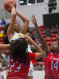 Image result for Tarenna leonardii