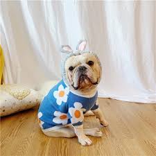 Check spelling or type a new query. French Bulldog Floral Knitted Sweater Frenchie World Shop