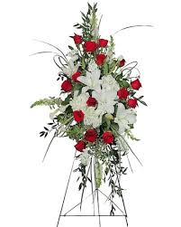 We did not find results for: Arlington Florist Find A Florist In A City Near You