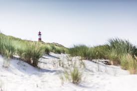 Ein einmaliges und ganz besonderes erlebnis. Die Schonsten Orte Fur Eine Hochzeit Am Strand Check24