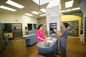Colonial pet doc hospital, llc. Photos Veterinarian In Chula Vista Ca Rolling Hills Pet
