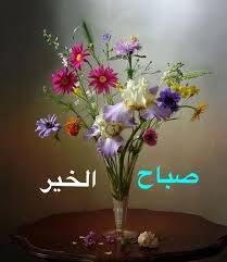 صباح الخير morning greeting good morning greetings evening greetings