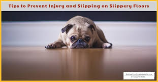 5 Ways To Help Your Dog Walk On Slippery Floors Puppy Potty Training Tips Potty Training Puppy Dog Training Obedience