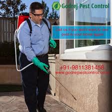 Hire 10 + best pest control in bangalore effective & safe. Godrej Pest Control Godrejpest Twitter