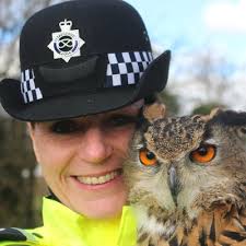 Richard Crombie (@richardcrombie1)