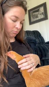 4 roosters and 1 hen is not at all a good combination so until we find new  homes for the boys, Reba needs a little protection. Since it came from  Amazon, I