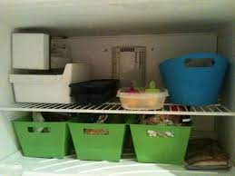 Organized Freezer Dollar Tree Containers Small Space Organization Home Organization Freezer Organization
