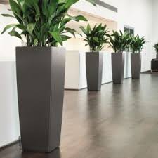 Pots Et Bacs D Interieur Gamm Vert Bac à fleurs planter des fleurs belles fleurs jardin loisir idées jardin bouture bougainvillier plante verte intérieur jardinage interieur idée jardinage. pots et bacs d interieur gamm vert