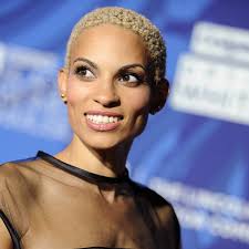 Post-Christmas blahs? More to do in Bay Area than you think