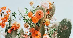 Their fleshy and fibrous leaves grow in a rosette shape and are usually barbed along the edges and tipped. 7 Beautiful Flowering Succulents To Plant Asap Bouqs Blog
