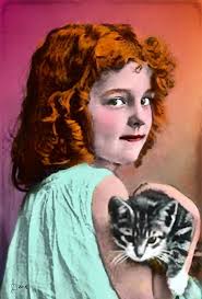 What medium did you use to color this rose?