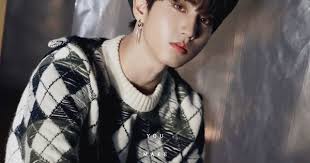Pin By ʜᴇɴɢɴɪꜱ On Stray Kids In 2020 Lee Know Stray Astronaut