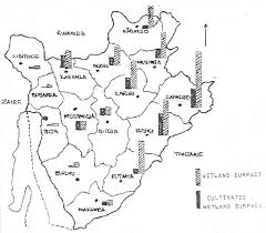 Image result for Pycreus mundtii