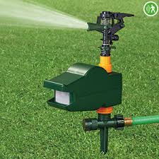 Shop animal repellents online at acehardware.com and get free store animal repellents (116 items found). China Manufacturer Scarecrow Sprinkler Sprinkler Animal Repellent