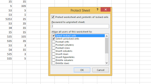 Protection In Excel For Worksheets And Workbook With Images Excel Tutorials Workbook Excel