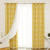 Curtains With Blinds