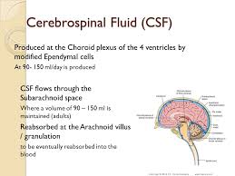 Cerebrospinal Fluid By Hossam Hassan Ppt Video Online Download