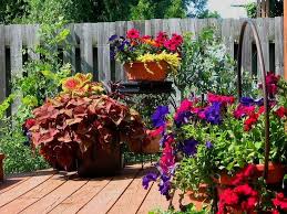 11 Most Essential Container Garden Design Tips Every Container Gardener Should Know Patio Flowers Outdoor Flower Planters Container Gardening