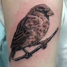 Dark skin makes it difficult to support colors and will cause the color to fade over time. 65 Cute Sparrow Tattoo Designs Meanings Spread Your Wings 2019