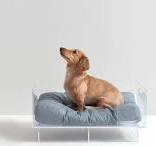 Clear Acrylic Dog Bed | Large Rectangular Dog Beds | Hiddin