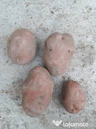 Catalog produse.frizian castrat cu inaltime de 1. Vand Cartofi Si Ceapa De Covasna Adroi Food