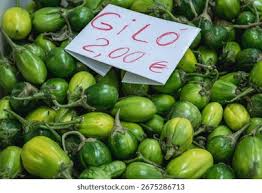 Image result for Gilgiochloa