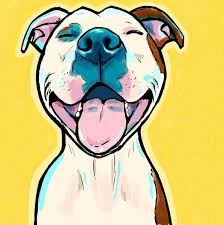 Pin On Chiens