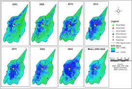 Image result for Aster milanjianus