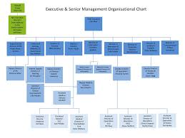 Executive Senior Management Organisational Chart Ppt