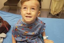 Fundraiser for Sarah Evans by Jaclyn Myers : Truman's fight against ALL