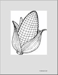 Free printable corn coloring pages for kids. Coloring Page Corn Abcteach
