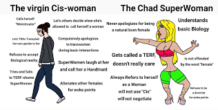 The best Virgin And Chad memes :) Memedroid