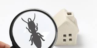 Bed bugs have been around for thousands of years. Indoor Pest Control Downs Pest Control Property Maintenance