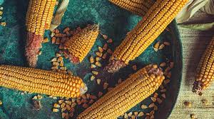 How to cook baby corn. Is Corn Good For You Nutrition Facts And More
