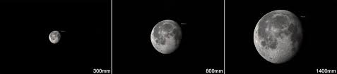 Shoot For The Moon Astronewton