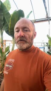 Bananas in Canada! #yql