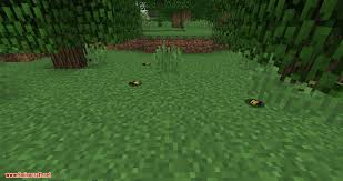 A mod that add +80 new real life animals to minecraft exploration world. Wizard S Animals Mod 1 16 5 1 15 2 Add 80 New Real Life Animals 9minecraft Net