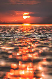 Las mejores imágenes para fondos de pantalla en hd, en esta página podrás descargar los fondos full hd e imágenes hd para tú pc o celular (apple. 70 Ideas De Playas Fondos De Pantalla Playas Fondos De Pantalla Atardecer Fotografia Paisaje